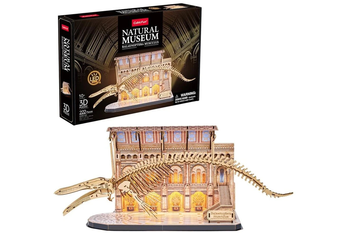 3D Puzzle - Natural Museum Blue Whale