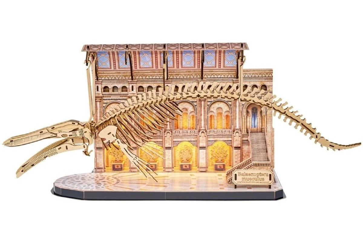 3D Puzzle - Natural Museum Blue Whale
