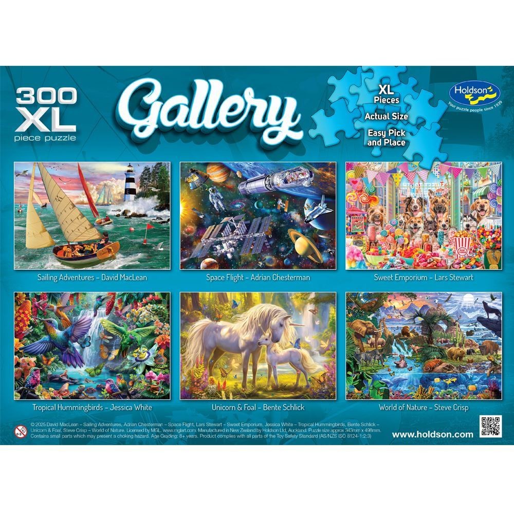 Puzzle - Holdson - Gallery 11 Hummingbirds 300Pcx