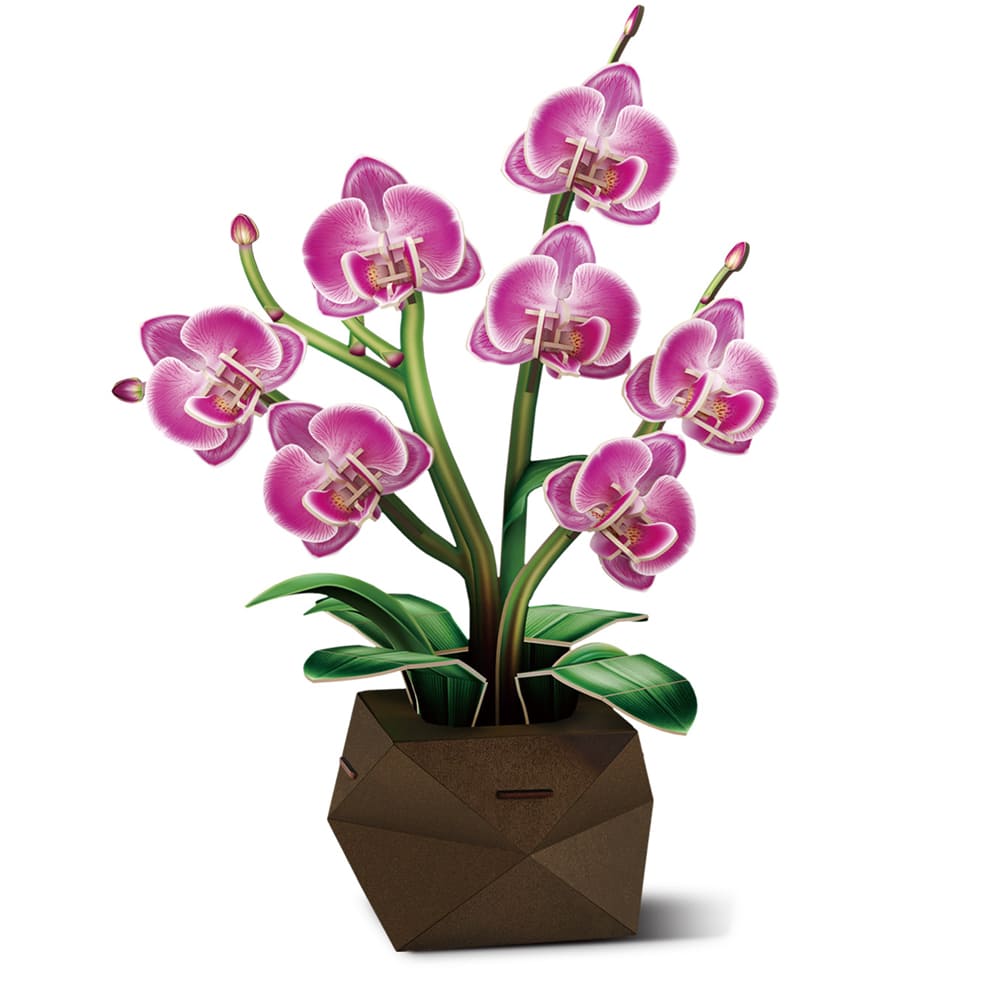 3D Puzzle - Flower Bouquet Orchids