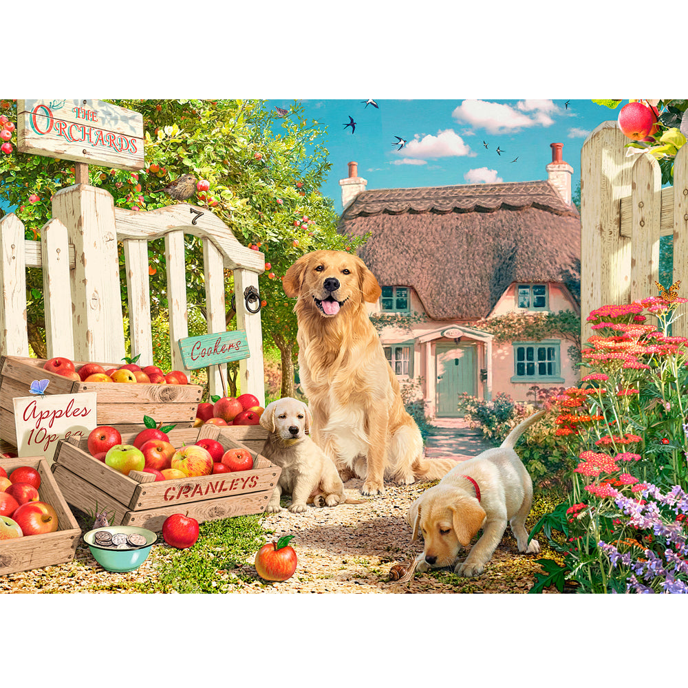 Regency Series 3 - The Orchards - 500XL pc