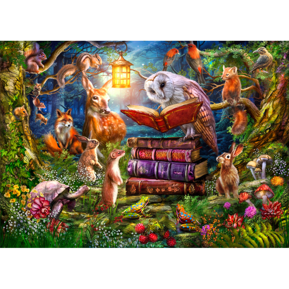 Harmony, Night Time Story, 500XL pc
